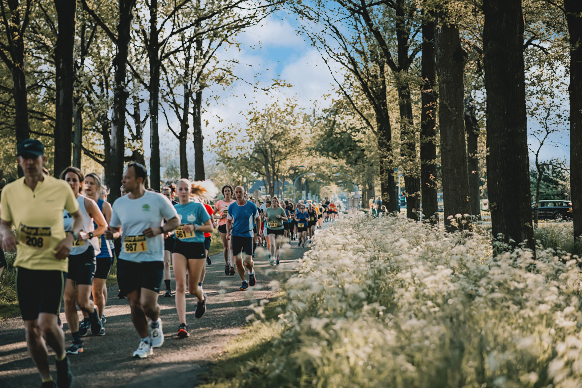 Kastelenloop Diepenheim