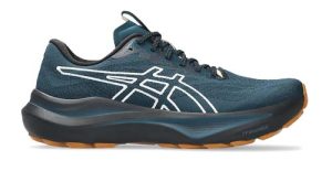 Asics 2000-14 TR Heren-image