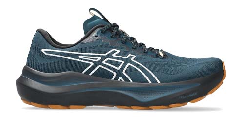 Asics 2000-14 TR Heren-image